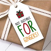 Funny Not Suitable for Gingers Christmas Gift Tags (Present Favor Labels)