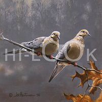 Hi-Look Microfiber Cleaning Cloth - Mourning Doves