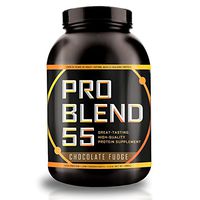 Pro Blend 55 Protein Powder – Low Carb Gainer & Meal Replacement Powder – Whey, Casein, Egg Albumin Protein – Chocolate Fudge – 2.2 Pound