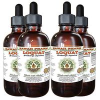 Loquat, Pi Pa Ye (Eriobotrya Japonica) Tincture, Dried Leaf Liquid Extract, Loquat, Glycerite Herbal Supplement 4x4 oz