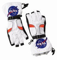Aeromax Astronaut Gloves, size Large, White, with NASA patches