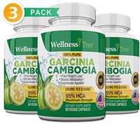 Garcinia Cambogia Extract - 95% HCA 3000mg Maximum Strength Capsules - Best Weight Loss Supplement - Burn Fat & Boost Metabolism, Diet Pills for Men & Women - 3 Pack