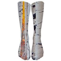 Colorado Aspen Birch Nature Autumn Athletic Tube Stockings Women's Men's Classics Knee High Socks Sport Long Sock One Size