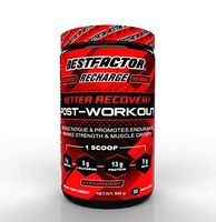 BESTFACTOR Recharge Post Workout Recovery Drink Protein Powder with BCAA, Creatine and L-Glutamine. Muscle Building Recovery Powder for Men and Women (Strawberry). Reduce Fatigue - 30 Servings