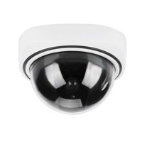 Outdoor Indoor Fake Camera, Wireless Home Security Dome Simulated Camera Video Dummy Surveillance Camera, for Homes & Business