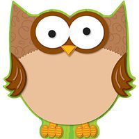 Carson Dellosa Owl Two-Sided Decoration (188019)