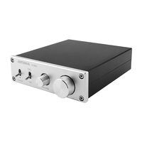 AIYIMA 300W Subwoofer Amplifier TPA3255 HiFi Mono Audio Power Amplifier Class D Amp NE5532 Sub Plate Amplifier with Bass Treble Adjust DC 24V-35V TPA3255(Silver-300W)