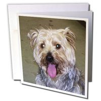 3dRose Silky Terrier - Greeting Cards, 6 x 6 inches, set of 6 (gc_22247_1)