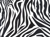 Zebra Design Print Gift Grade Tissue Paper Sheets - 15" x 20" Package Amount (5)