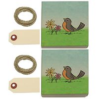 Robin in Spring Kraft Gift Boxes Set of 2