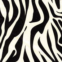 Zebra Printed Tissue 20 x 30" 24 Sheets