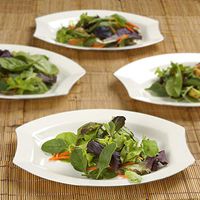 Efavormart 50 Pcs - Ivory w/Silver Edge 10.5" Crescent Oval Shaped Disposable Plastic Plate for Wedding Catering Party Banquet