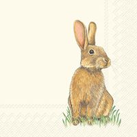 Boston International 40 Count 3-Ply Paper Easter Cocktail Napkins, Eddie