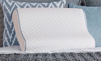 Sealy Memory Foam Contour Pillow