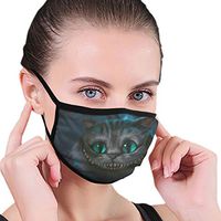YOFFYO Soft Mouth Covers Earloop Anti-Allergies for Dust Painting, Women Men Kids - Healthy (Big Face Cheshire Cat Mouth Cover)
