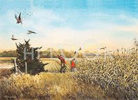 Hi-Look Microfiber Cleaning Cloth - A Chance for Two