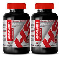 Joint Health Supplements for Men - GLUCOSAMINE CHONDROITIN and MSM Complex - Wellness Formula Capsules - 2 Bottles 120 Capsules