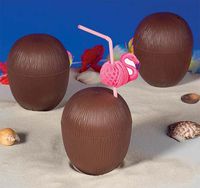 Coconut Cups with Straws, 16-Ounces, 5.5-Inches tall (1-Dozen)