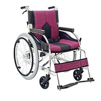 ChenCheng Wheelchair Home, Medical, Folding Trolley, Elderly Scooter Medical Supplies (Color : B)