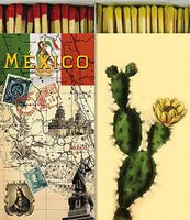 Decorative Mexico and Cacti Match Boxes with Long Kitchen Matches Great for Lighting Candles, Grills, Fireplaces and More | Set of 2 Large Designer Match Boxes