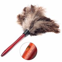 Gods Kingdom 20cm Ostrich Feather Home Cleaning Duster Brush Wood Handle Anti-Static Natural Grey Fur