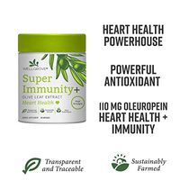 WellGrove Super Immunity Olive Leaf Extract Capsules | Better Immune Support Than Vitamin C or Elderberry for Cold or Flu | High in Antioxidants Supplement (60 Capsules)