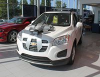 30" Magnetic Car Bows - Silver