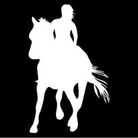 Girl Riding Horse - Vinyl - 5" Tall (Color: White) Decal Laptop Tablet Skateboard car Windows Stickers