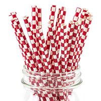 Paper Straws Red Checkered Pattern - Eco Friendly Wedding Straws - Dozens of Designs & Perfect For Any Party! Frozen Dessert Supplies - 300 Count