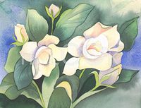 Hi-Look Microfiber Cleaning Cloth - Gardenia