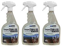 Shaw R2X Carpet Stain & Soil Remover 32 Ounces Spray (Тhrее Расk)