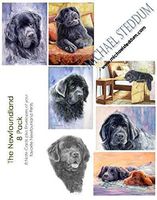 Michael Steddum Newfoundland 8 Pack Note Card Set
