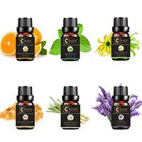 essential oils gift sets pure aromatherapy kit starter pack therapeutic oil diffuser grade aroma lemongrass lemon relaxation aromas natural skin humidifiers