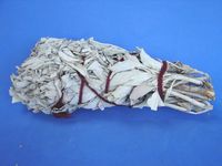 Big Bundle of California White Sage to Clean Environment for New Age Products (Approx 8" in length)