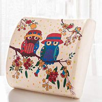 SPLY DTEM Memory Foam Back Support Pad - Designed for Back Pain Relief - Waist Pillow with Advanced Adjustable Strap - Hypoallergenic Ventilation - Relieves Lumbar Pain.