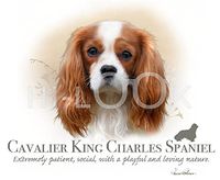 Hi-Look Microfiber Cleaning Cloth, dog design - King Charles Spaniel