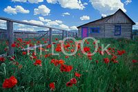 Hi-Look Microfiber Cleaning Cloth - A Cabin in Teton County, Idaho