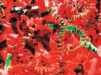 Pack of 1, Christmas Mix Crinkle Cut Paper 40 Lb Spring-Fill Shred for Baskets, Basket Boxes, Bags, Containers & Nested Boxes