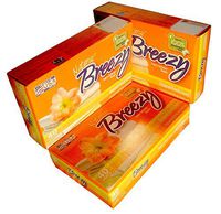 Breezy Natural Fabric Softener Sheets Original Fresh Scent (3-Packs of 40 sheets)