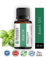 Basil Oil 10 ML Therapeutic Grade Pure Essential Oil