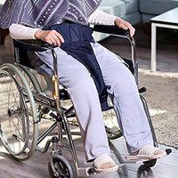 TTZ Wheelchair Seat Belt, Medical Adjustable Chair Waist Lap Straps Restraint Adjustable Length- for Elderly Patients Disabled Adjustable Length