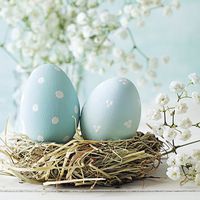 Paper Luncheon Napkins 40pcs EASTER TURQUOISE EGGS in a nest