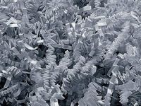 Gray Aqua Metal Pail Bucket Party Gift 5.5" with Crinkle Paper Shred