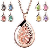 RoyAroma Rose Gold Aromatherapy Essential Oil Diffuser Necklace Stainless Steel pendant Perfume Locket Women Jewelry