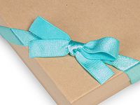Pack Of 50, 8" Aqua Satin Stretch Wide Loops W/Pre-Tied Bows For Jewelry Boxes