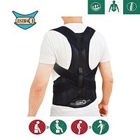Back Support Belts Posture Corrector Back Brace Improves Posture and Provides for Lower and Upper Back Pain Men and Women (L)