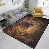 Cave Print Area Rug Modern, Ancient Geologic Formation in Digital Painting Style Subterranean Tunnel with a Gate, Durable Carpet Area rug - Living Dinning Room Bedroom Rugs and Carpets(8'x 10')