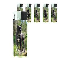 Dog Great Dane 02 Lighter Set of 5 Pieces