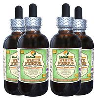 White Fungus (Tremella Fuciformis) Glycerite, Organic Dried Mushrooms Alcohol-Free Liquid Extract (Brand Name: HerbalTerra, Proudly Made in USA) 4x4 fl.oz (4x120 ml)