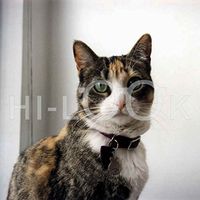 Hi-Look Microfiber Cleaning Cloth, cat design - Chloe